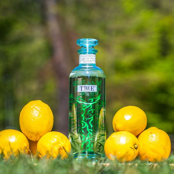 Tree Gin Pureness